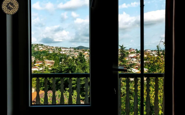 guesthouse anina