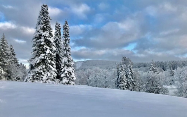 "nice Mountain View"