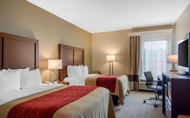 Comfort Inn Chester - Richmond South
