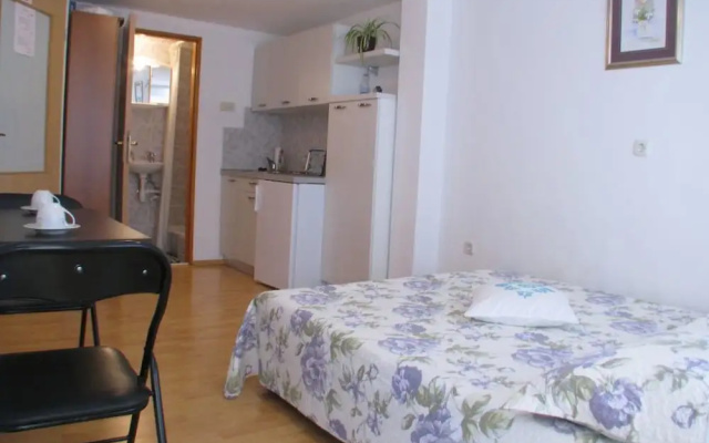 Apartment Goga
