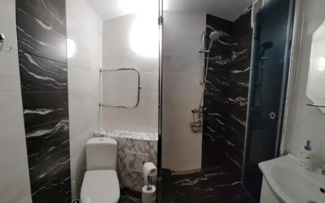Apartment near the center