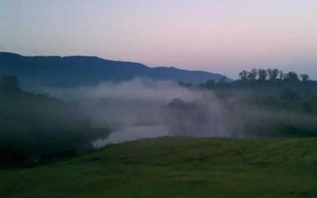 Misty Meadow Farm & Cabin
