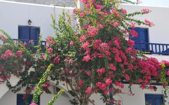 Nostos Studios