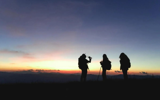 Paradise Wild Hills