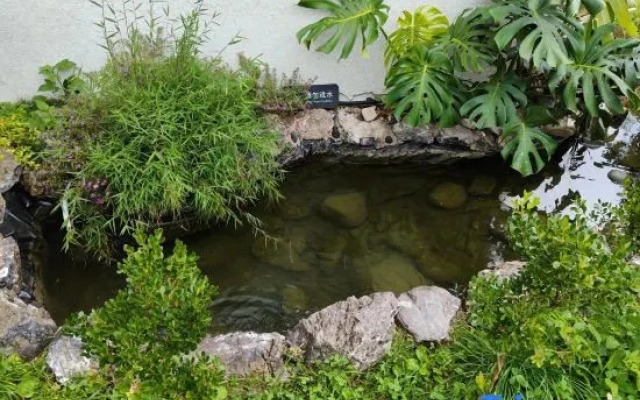 Huangguoshu Cuiwei Xianning Homestay