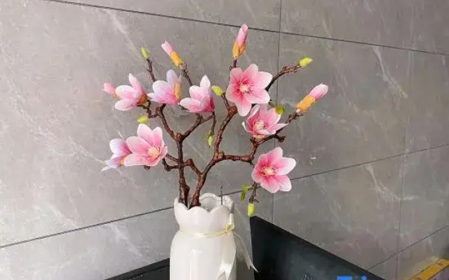 Xinfei Holiday Hotel (Suzhou Guogou Plaza)