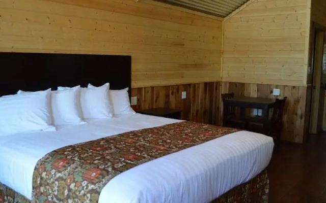 Lone Star Lodge