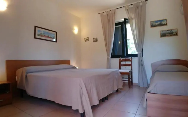 La Piana degli Ulivi
