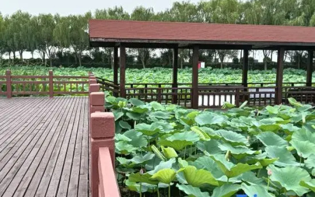 Linhuxiaoyuan Courtyard