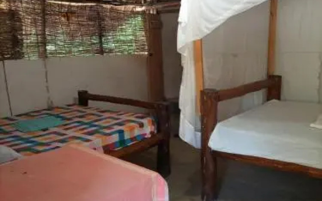 Mida Ecocamp