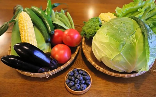 Resort Inn Green Karuizawa - Vacation STAY 15121v