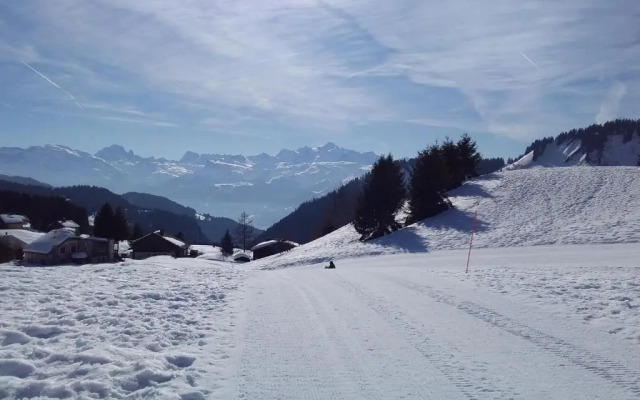 Terrasses Du Mont Blanc