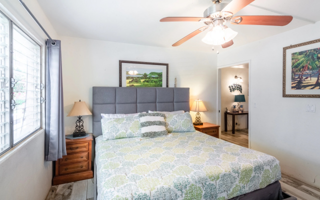 Wonderful Kihei Kai Nani renovated condos - 230