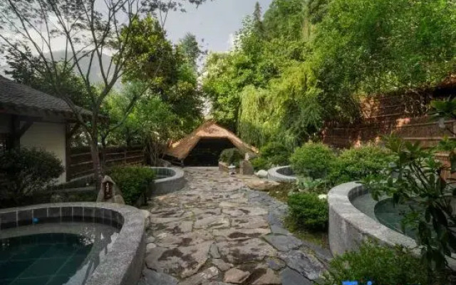Under the Tree Art Hot Spring Homestay