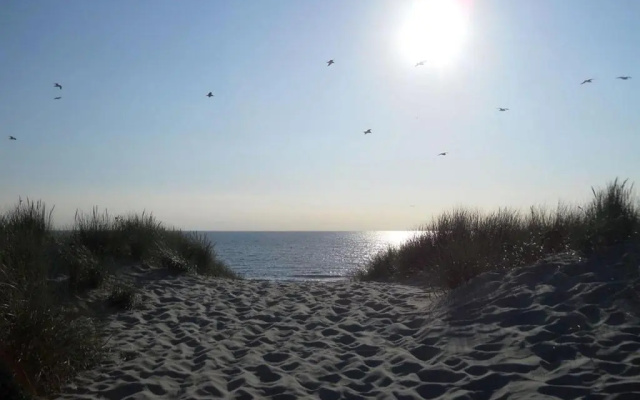 Zonneweelde