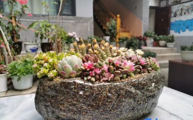 Slow Life· yuesheng garden Jing di mei su