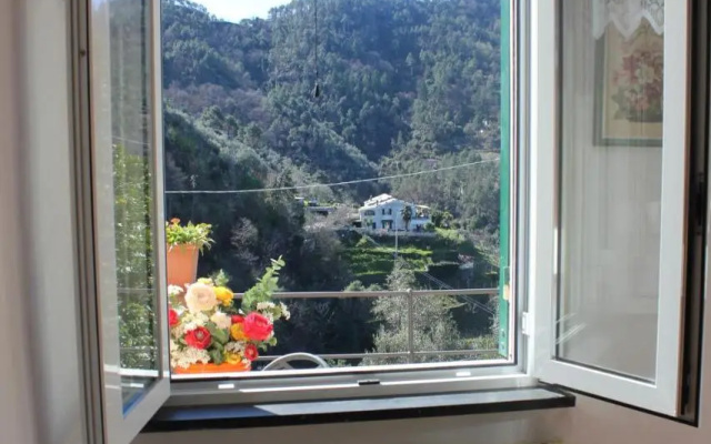 Casa Violetta