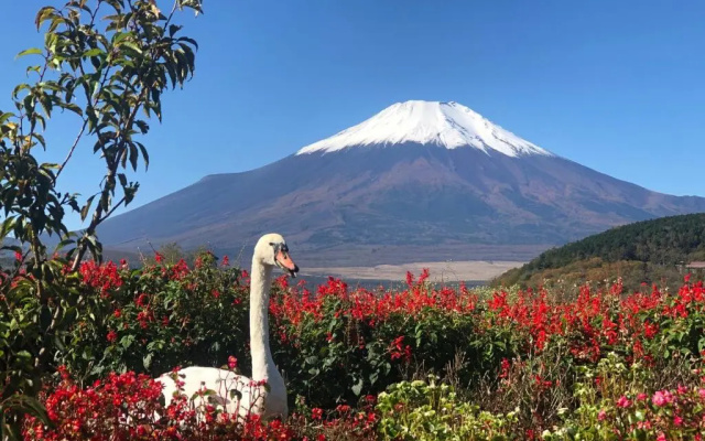 Mount Fuji Castle 2