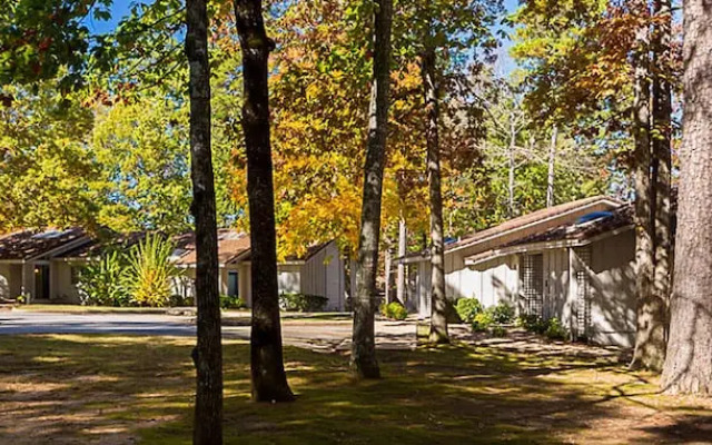 Festiva Los Lagos