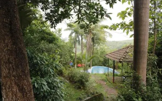 Sai Farms