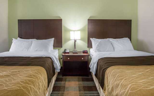Comfort Inn Lexington South
