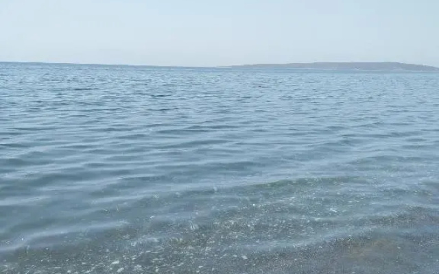Πενυ Καντια 1ος Ν 4