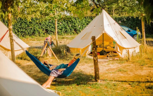 Star Surf Camps