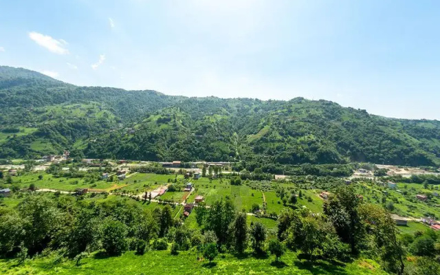 Pavri Suit Bungalow