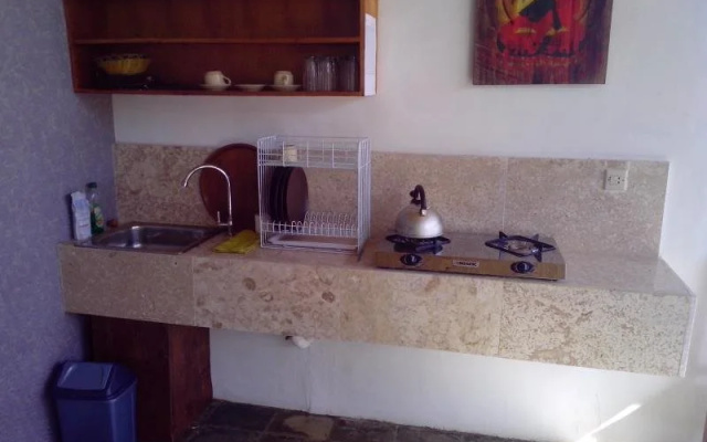 Aris Villa