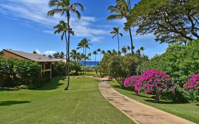 Tropical Oasis with Daily Activities - Spacious and Stylish Getaway
