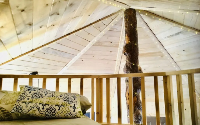 Cloudberry Cabin