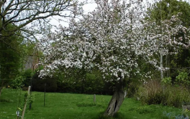 Neefelder Diekskroog