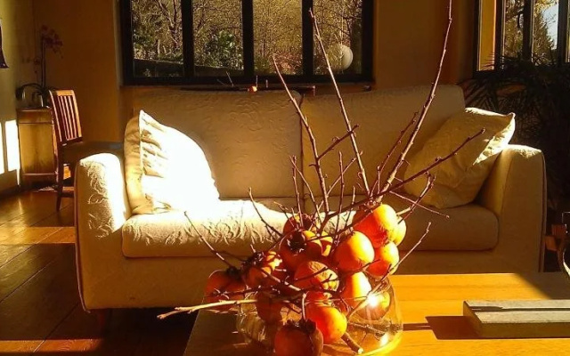 B&B Le Oche di Bracchio