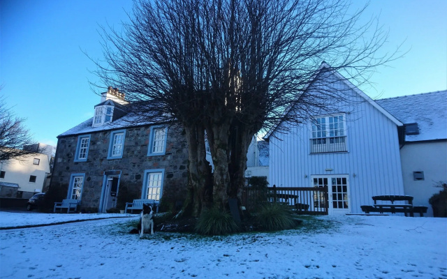The Lime Tree
