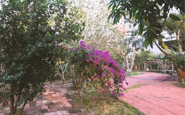 Puli 303 B&B