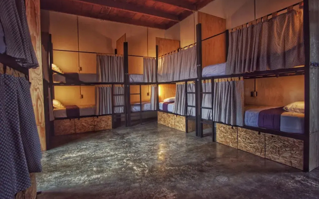 Lemon Tree Hostel