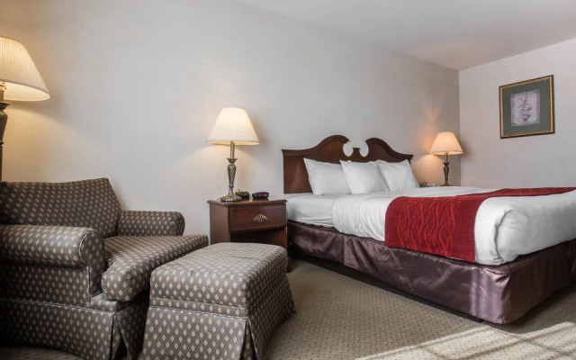 Comfort Inn & Suites East Greenbush - Albany