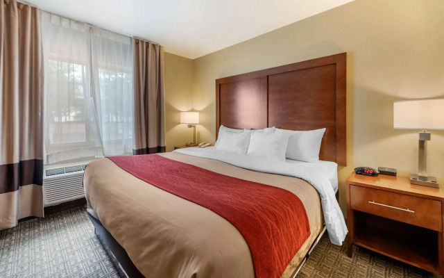 Comfort Inn & Suites Alamosa
