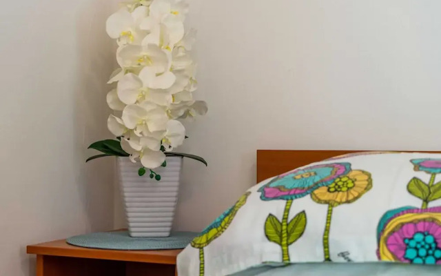 Apartments and Room Frane- Standard Studio With Terrace