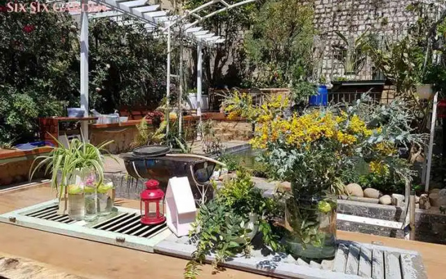 Six Six Garden - Rose Koi Homestay Dalat