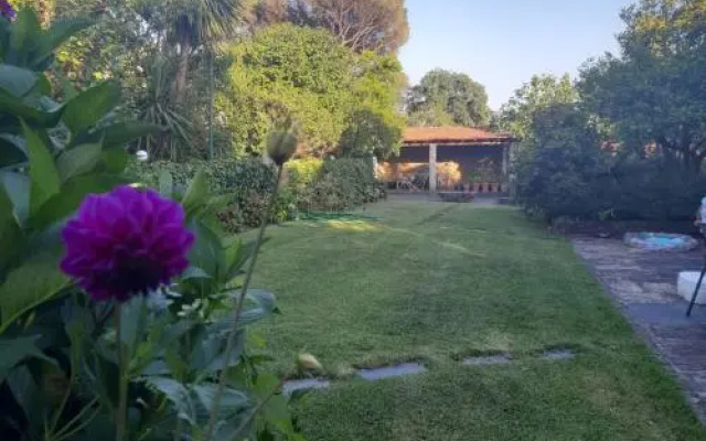 Quinta Drº Amarante