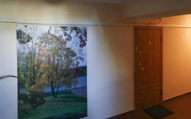 Honey apartment