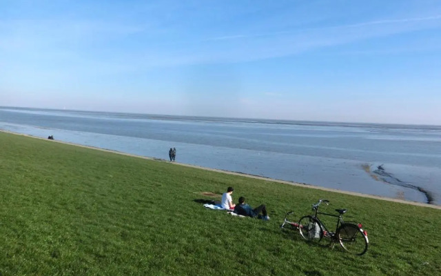 Sonnige Ferienwohnung WHV