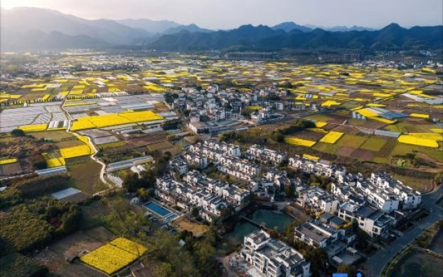 Huangshan Pu Yue He Xuan Homestay