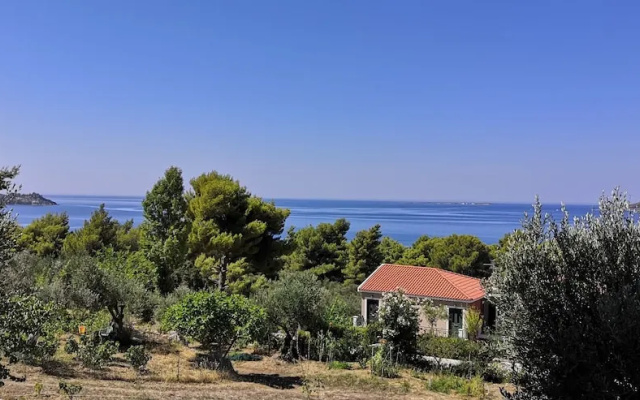 Seapine Studios