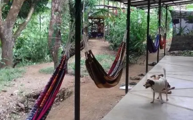 Bolita Rainforest Hostel and Cabinas