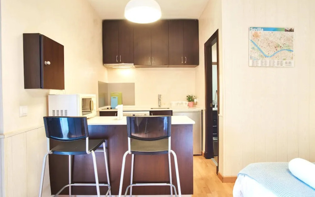 Apartamento Corral del Conde del S.XVI