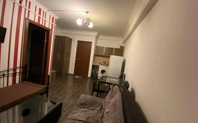 Mgzavrebi Bakuriani. Apartment #202