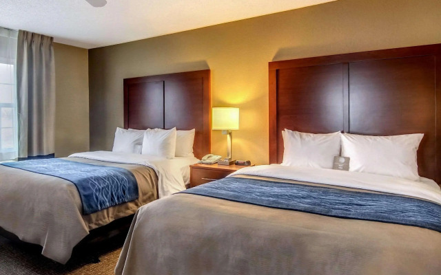 Comfort Inn & Suites Grafton - Cedarburg