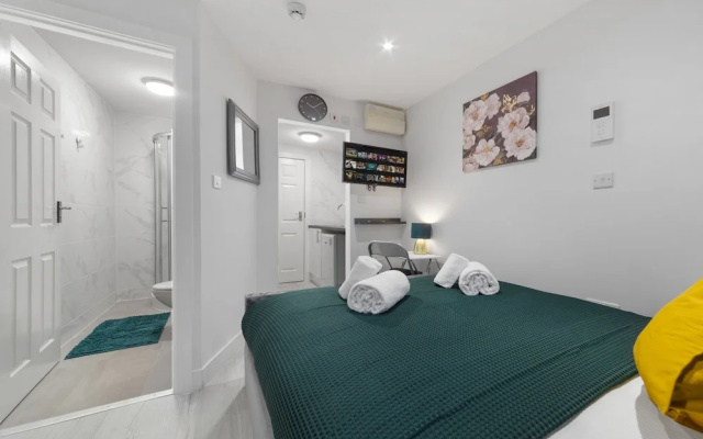 Immaculate Ensuite Room Crystal Palace London Se20